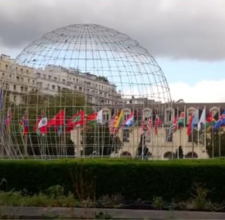 Untitled design (89) - Copy