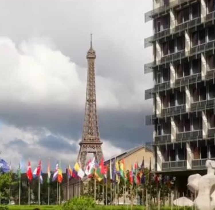 Untitled design (90) - Copy