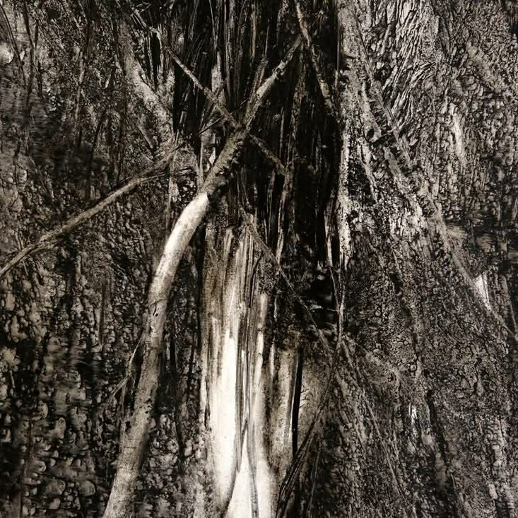 092dbdf1-38e0-4928-887c-ca18ef73daa3